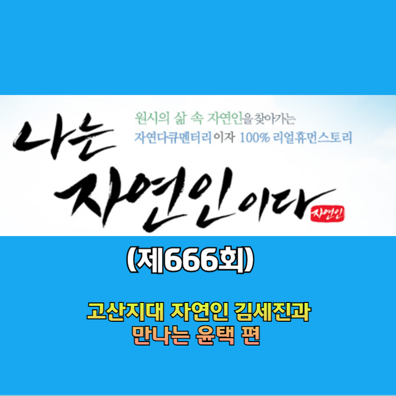 나는자연이이다 메인