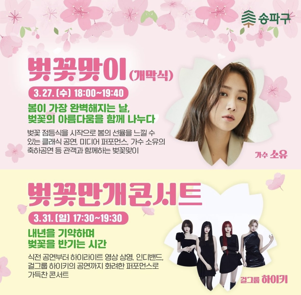 석촌호수 벚꽃축제