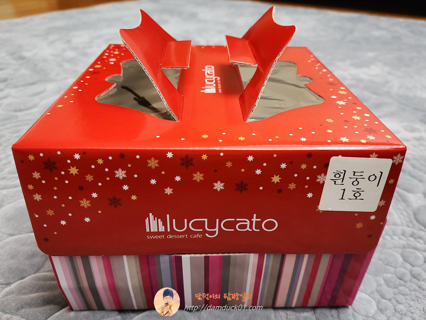 루시카토 흰둥이 1호