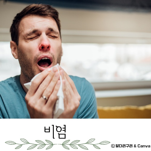 가정용 비염 치료기 추천 치료방법 