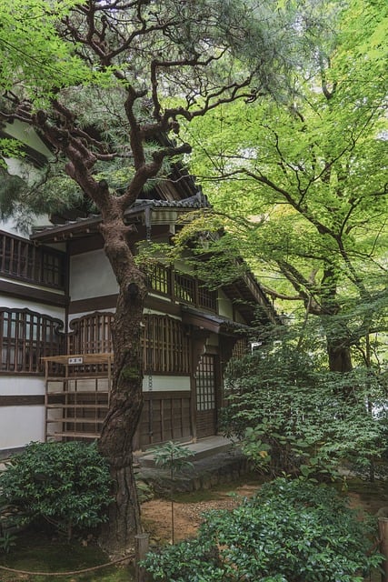 불교 미학: 무심 속에서 피어나는 아름다움