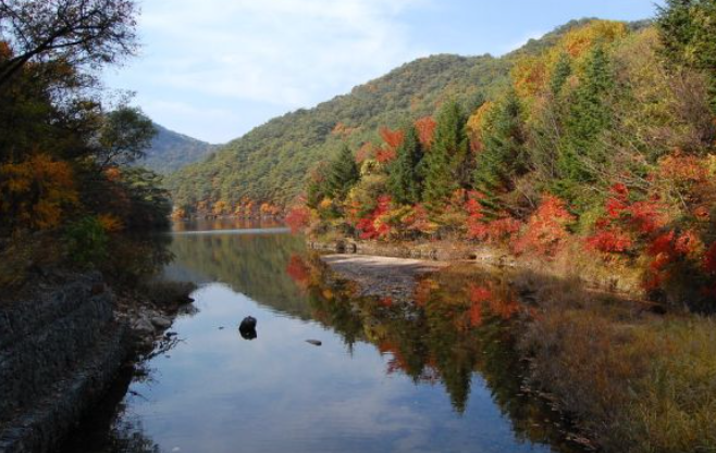 2025 속리산 단풍 절정시기 &amp; 등산지도 ❘ 추천 등산코스 최신 업데이트