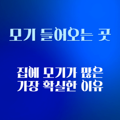 모기가-끊이지-않는-이유