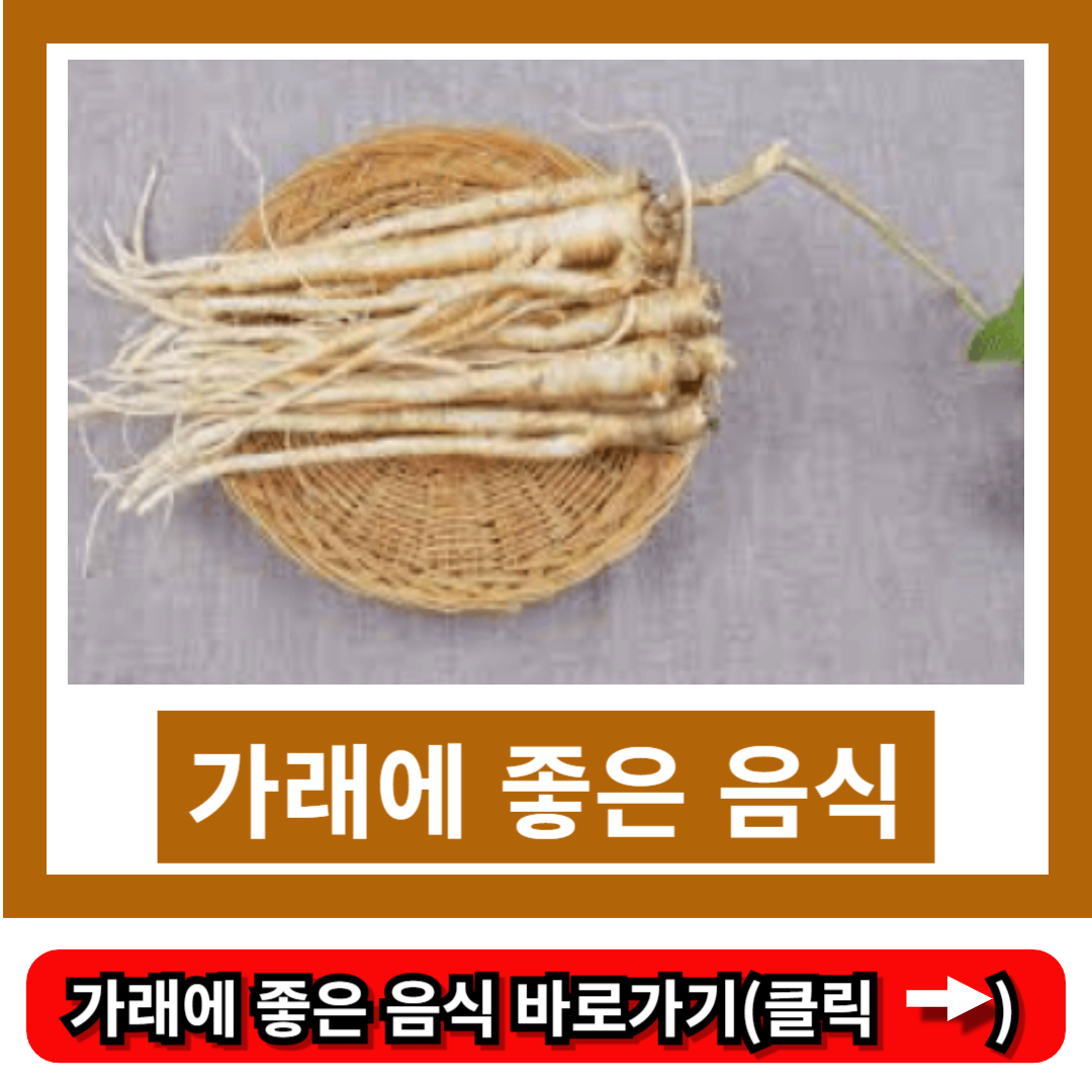 가래에 좋은 음식