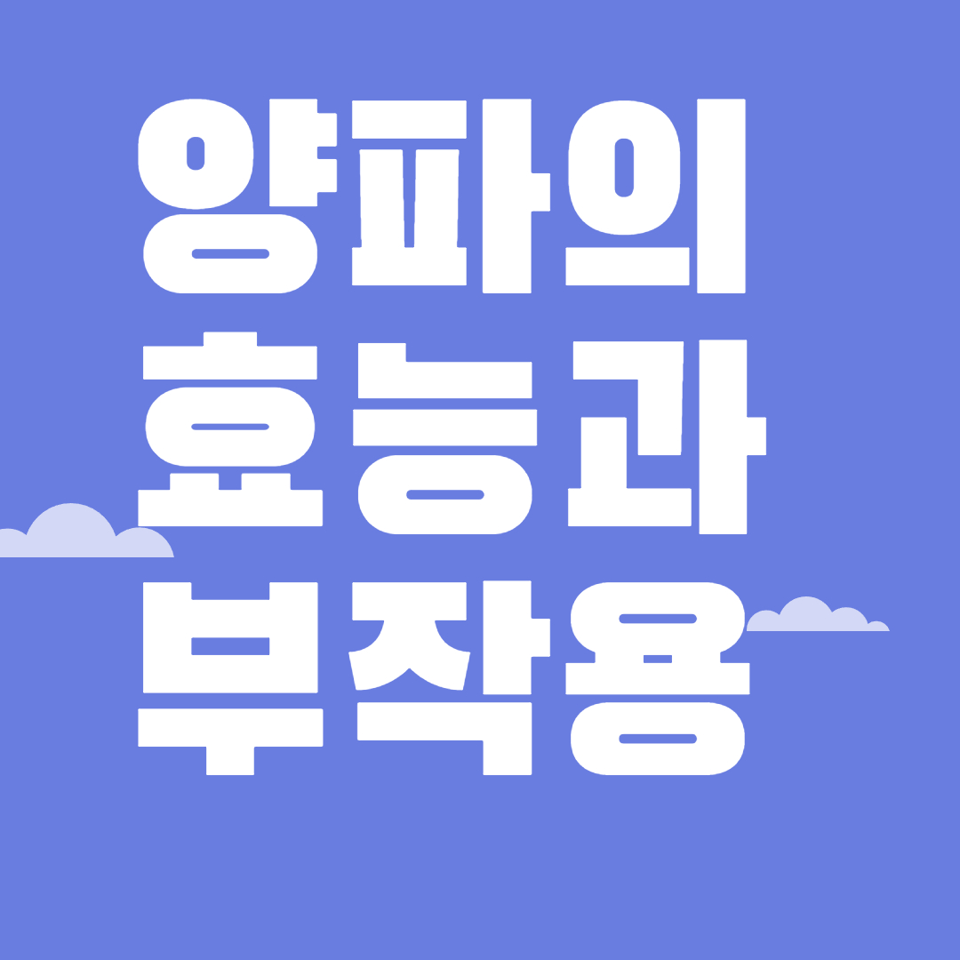 양파의 효능