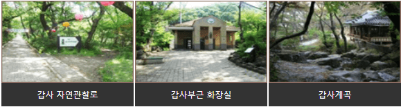갑사연천봉