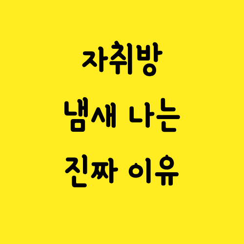 자취방 냄새 나는 진짜 이유