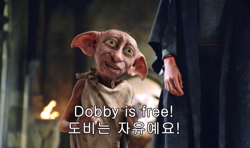 도비는 자유에요