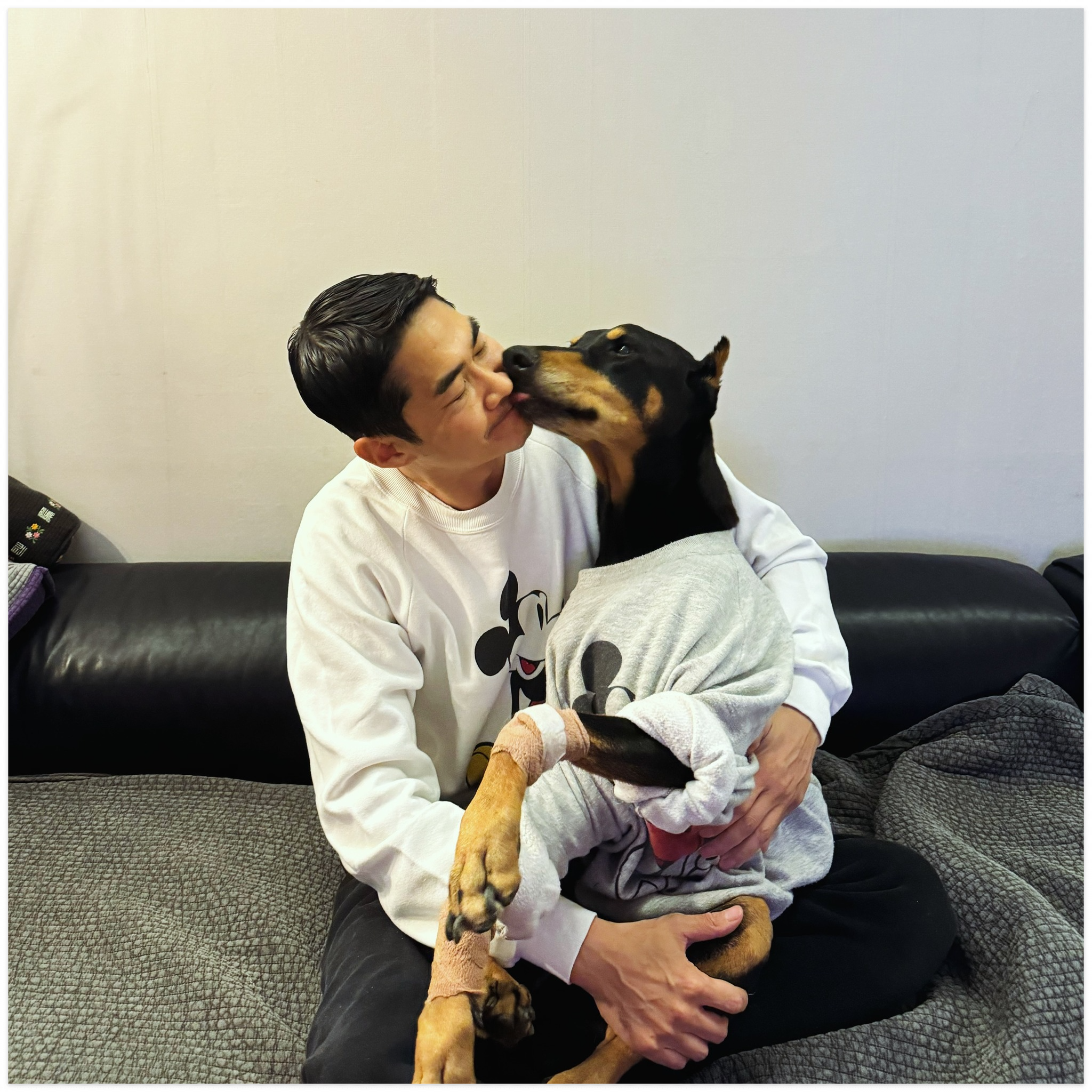 배정남 반려견 벨 TV 동물농장 스토리