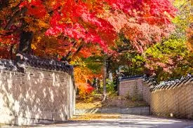 창덕궁 후원 단풍 예약