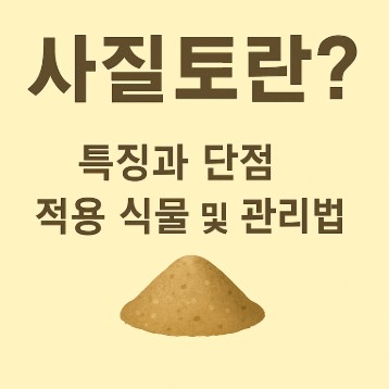 사질토란? 특징과 단점, 적용 식물 및 관리법 사진
