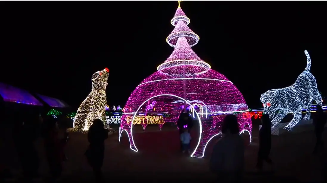 겨울 여행지 추천 태안 빛축제