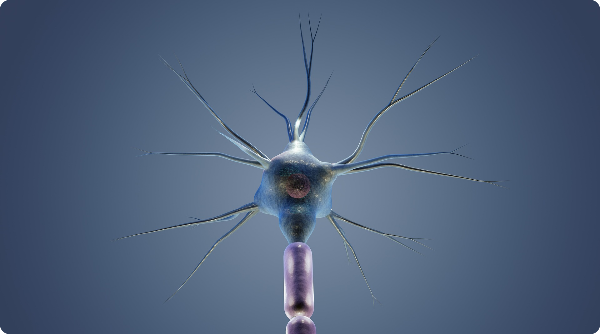 신경섬유종 초기증상 2형 유전 제거수술병원