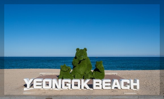 연곡 솔향기 캠핑장