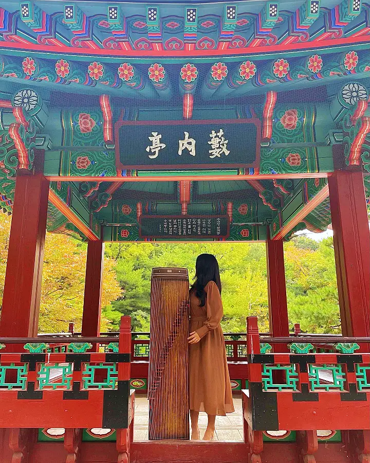 가야금 연주 신비한 SNS 사전 추천