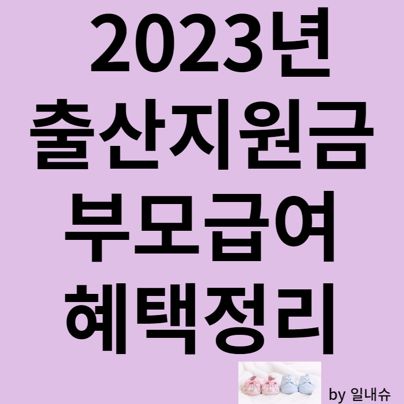 출산지원금 첫만남이용권