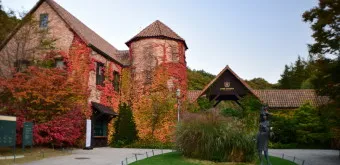 제이드가든 수목원 입장료 셔틀버스 맛집_5