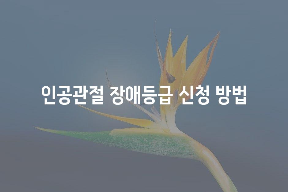 샘플 (45)