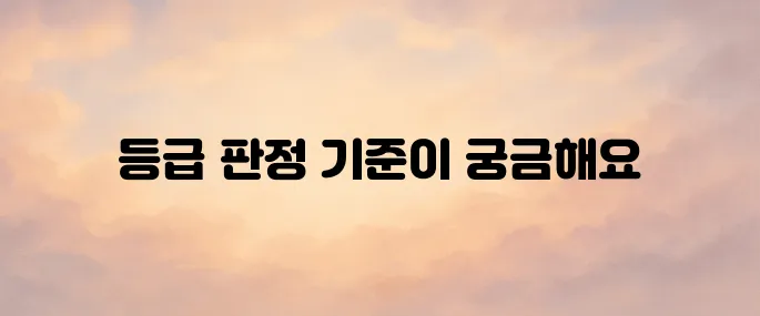 장기요양보험공단 홈페이지 및 등급 판정 기준