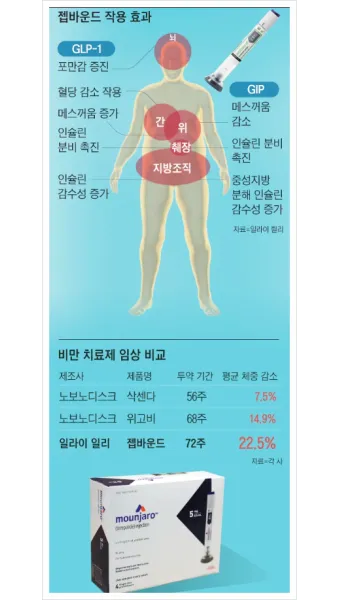 비만치료제 대장주 관련주 TOP5_25