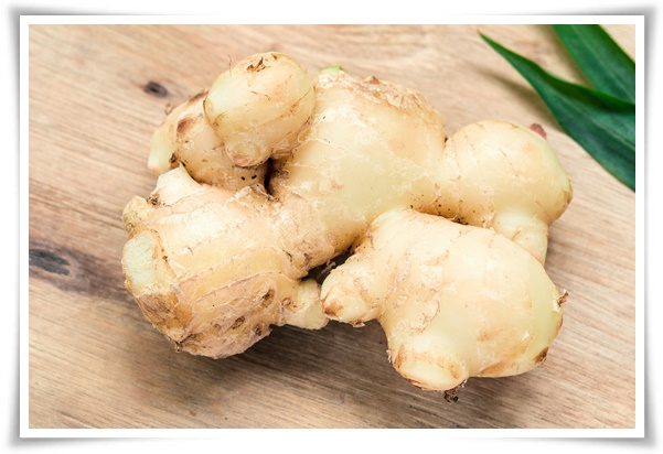 &quot;생강 심기&quot; 텃밭의 보물, 4월 ~ 5월 초 생강 심기로 건강과 맛을 동시에!