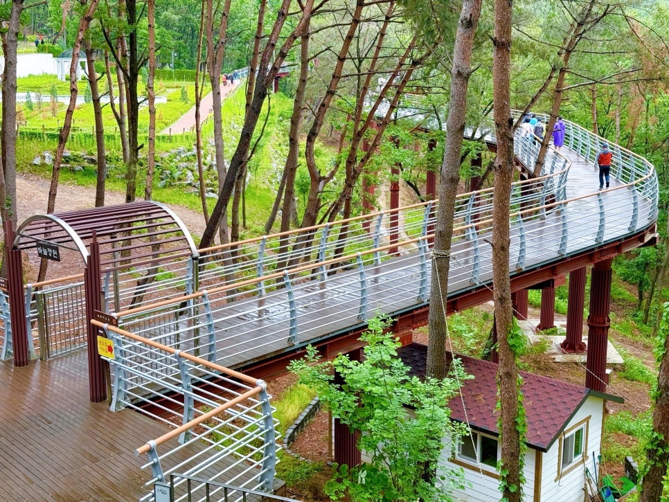 원주 소금산 그랜드밸리