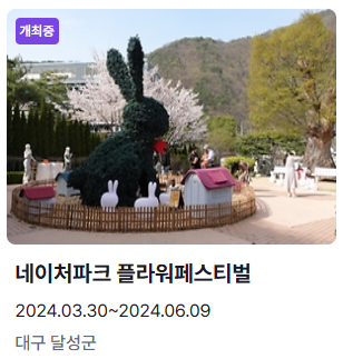 6월 축제 일정표