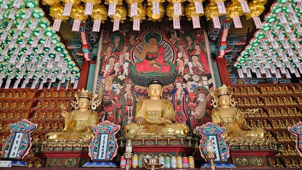 금산 보석사 : 1,100년 은행나무와 전나무 숲길이 주는 위로