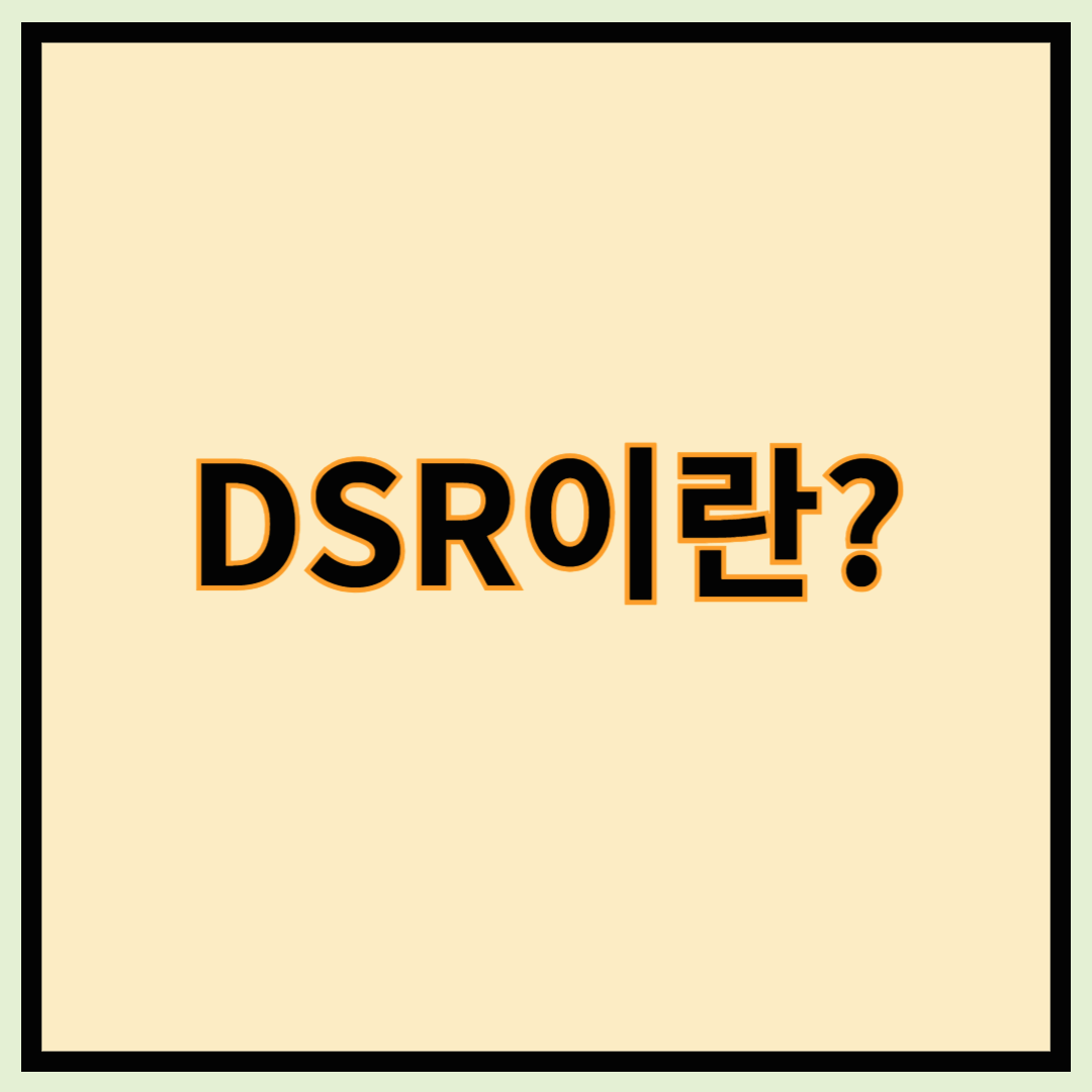DSR이란? DSR 계산기 사용법