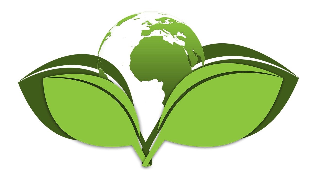 요가와 제로 웨이스트라이프