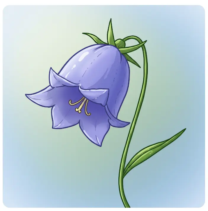 중부지방-도라지-파종시기-3