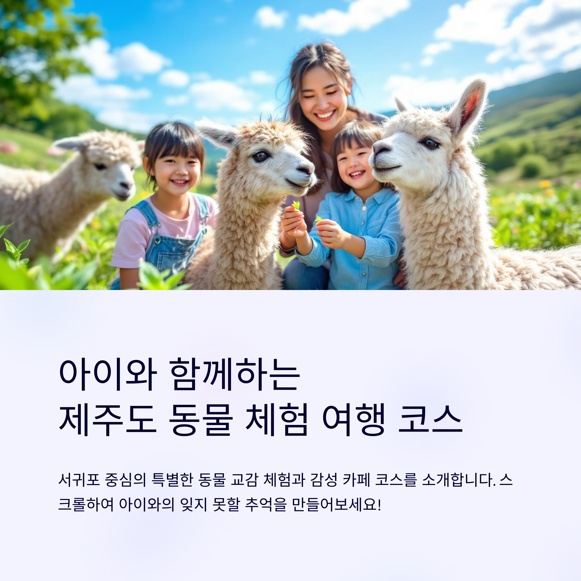 아이와 제주도 동물 체험! 서귀포 감성카페 코스 추천