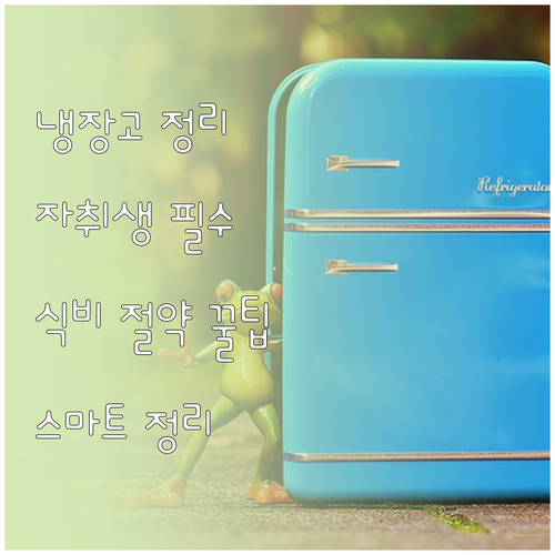 효율적인 냉장고 정리, 자취생 맞춤 ..