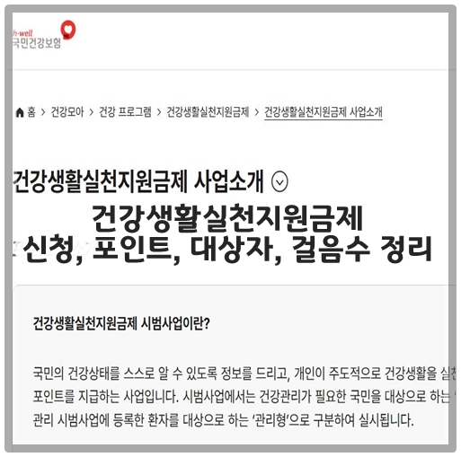 건강생활실천지원금제 신청, 포인트, 대상자, 걸음수 정리