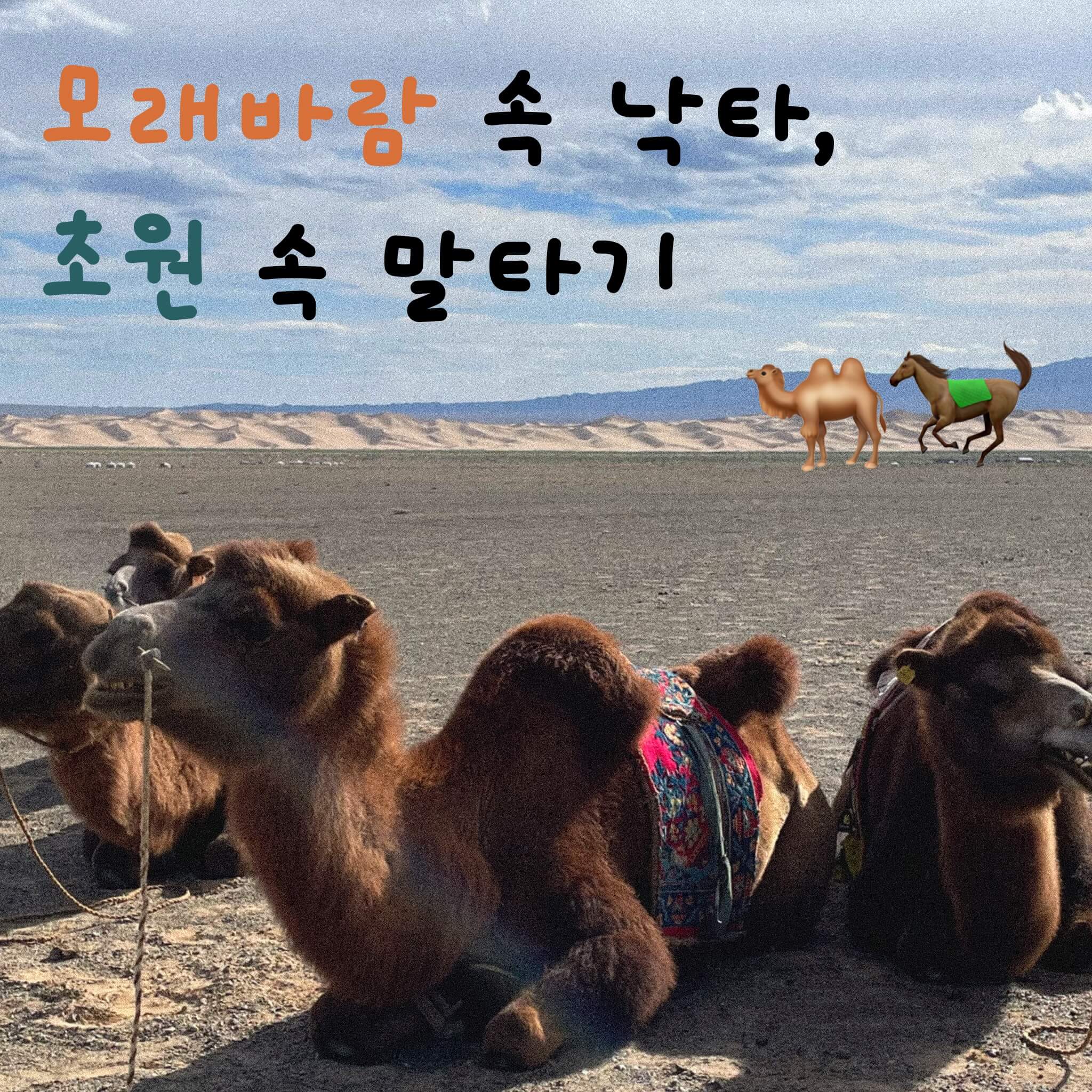몽골 말타기