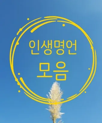 인기 많은 인생 명언 짧은글 100선_7