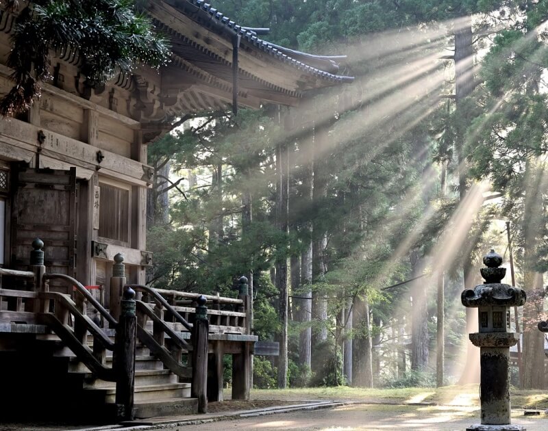 절에 햇빛이 찬란하게 비추는 사진