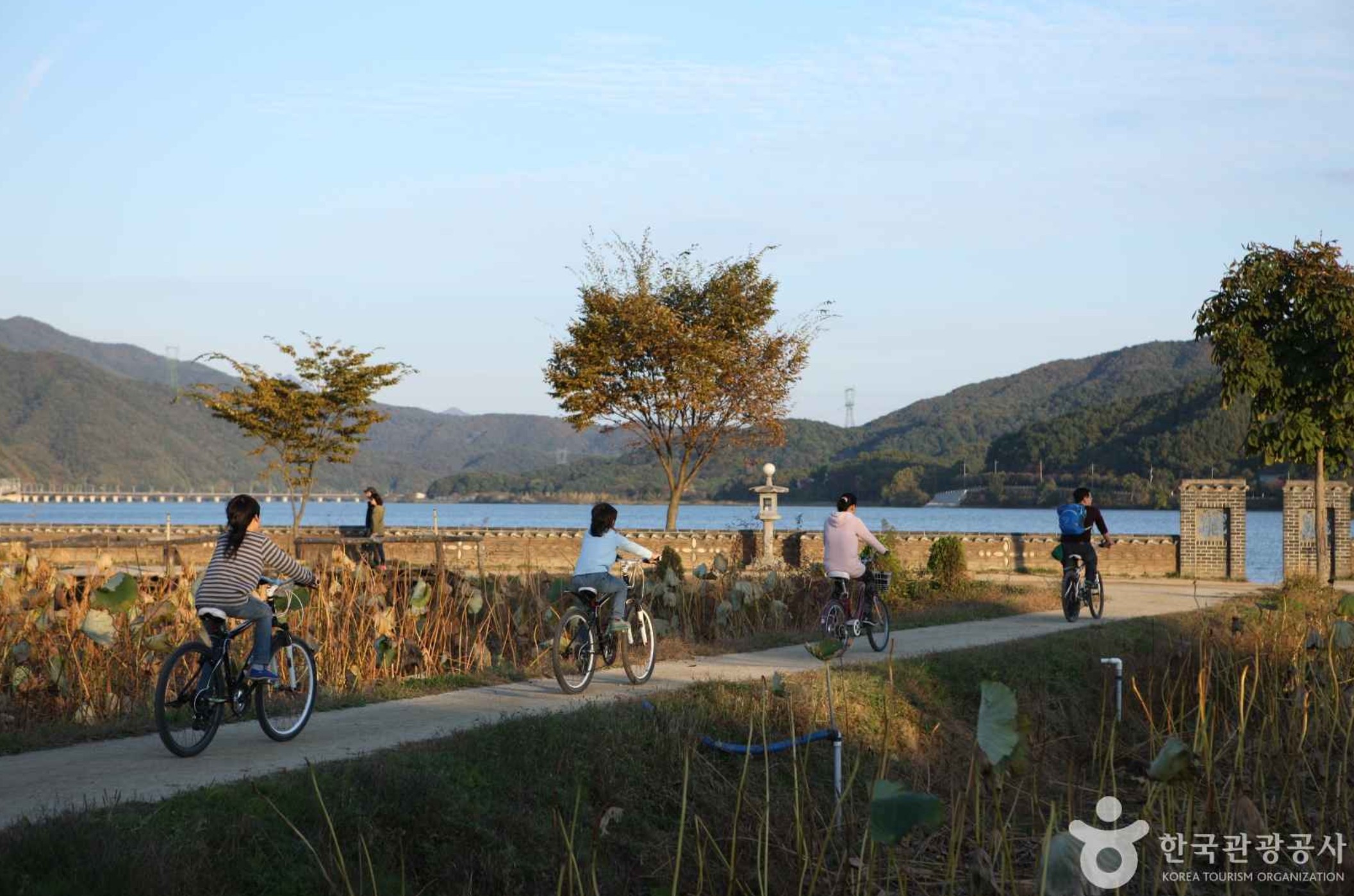 양평-두물머리에서-자전거타는-가족