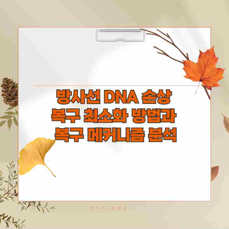 방사선 DNA 손상 복구 최소화 방법과 복구 메커니즘 분석