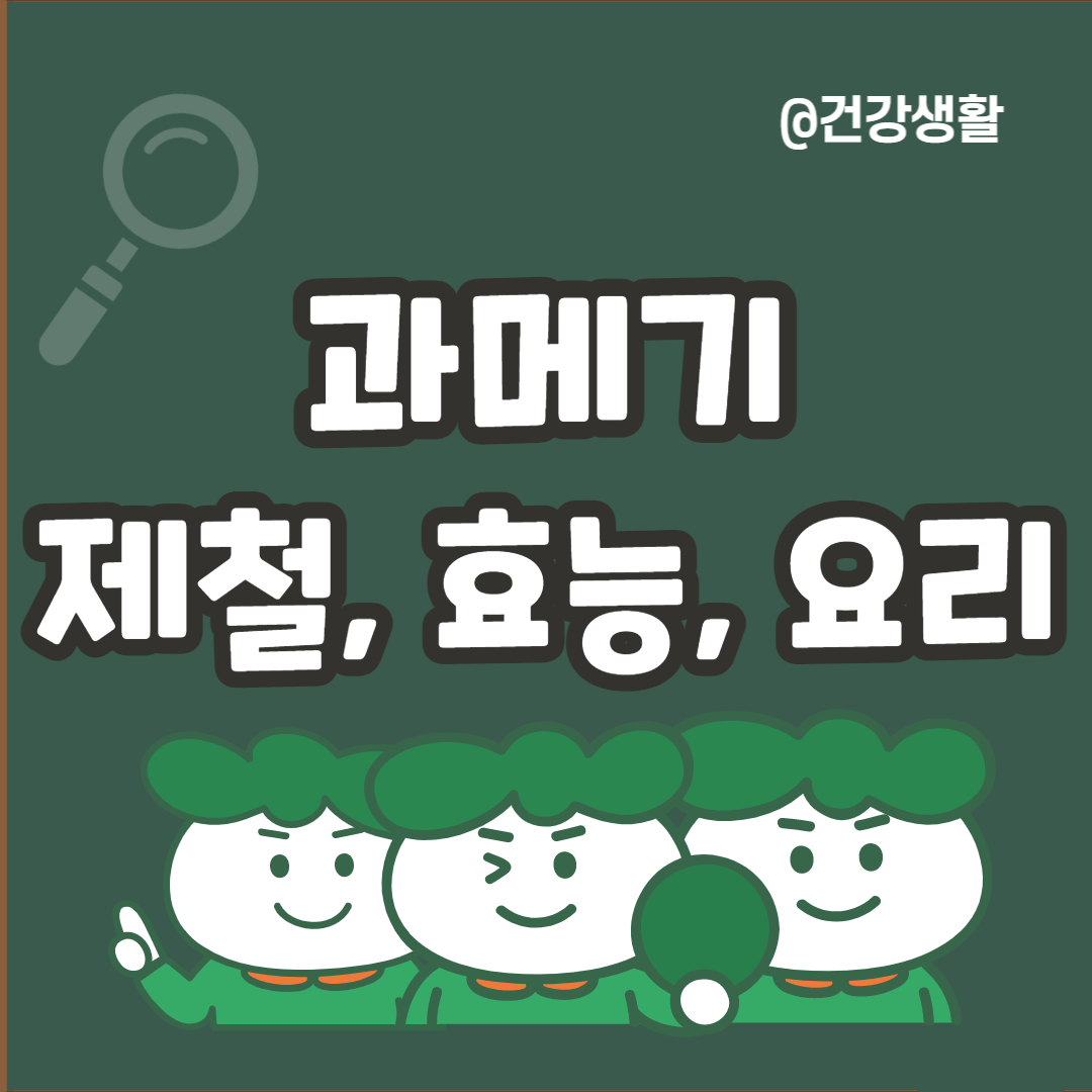 과메기