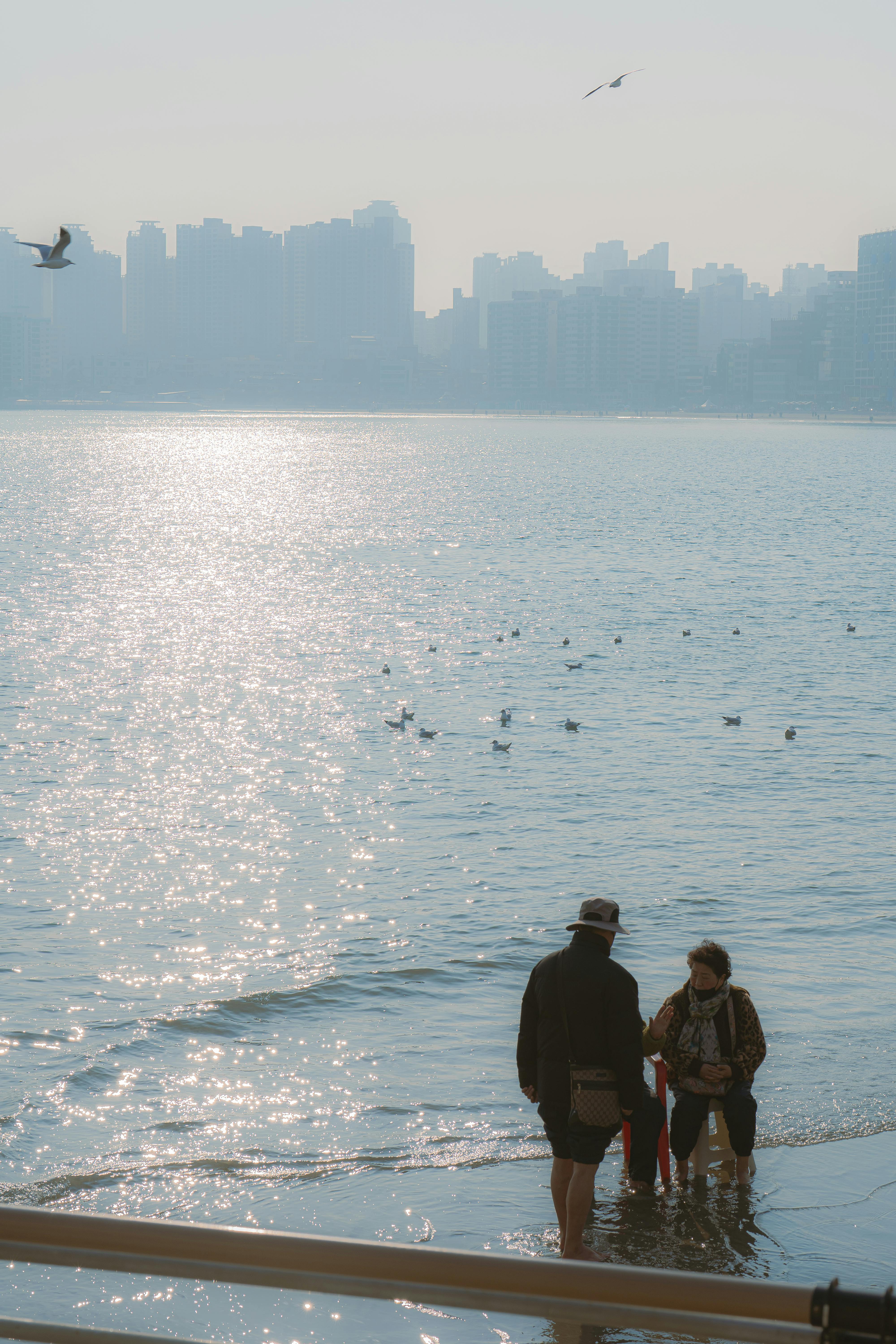 어도비 상담원 연결 및 한국 고객센터 전화번호 완벽 안내!
