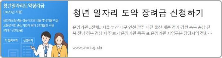 청년 일자리 도약 장려금