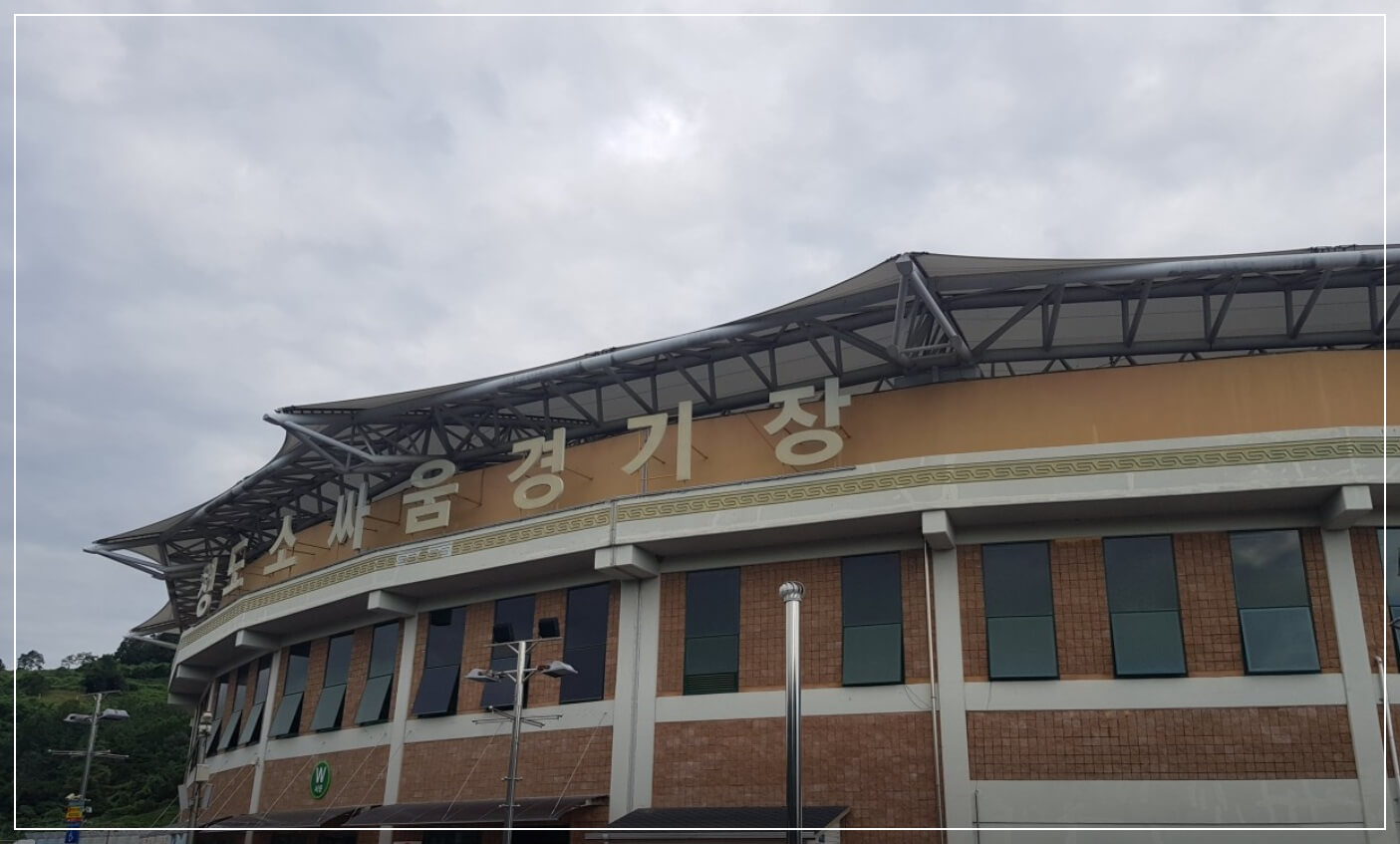 청도 가볼만한곳 베스트10 청도 소싸움경기장