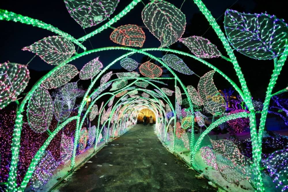 가평 아침고요수목원 오색별빛정원전