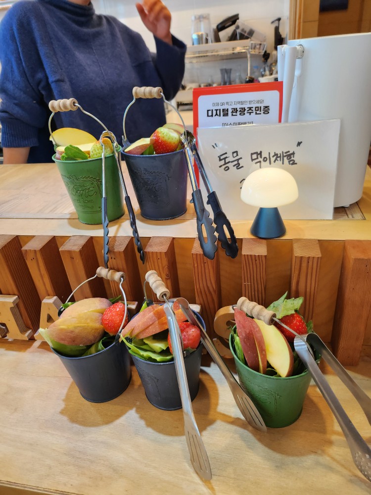 동물 먹이주기 키트