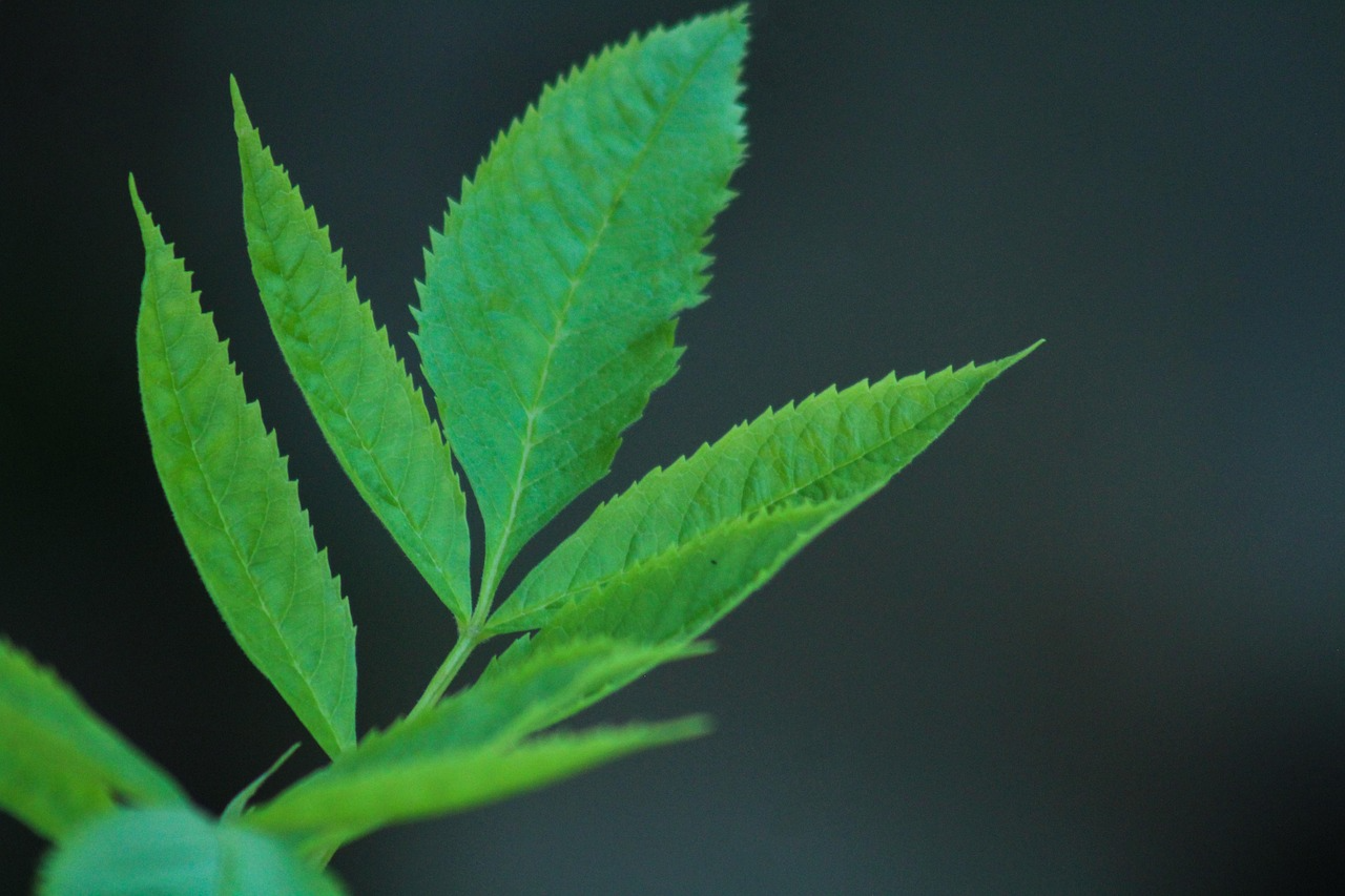 20대 비상금 1,000만원, 30대 선택지를 어떻게 바꾸는가 - 지속 가능한 재무 구조 관점에서 본 현금 흐름 안전장치