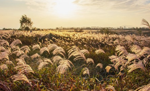 10월 가을축제 BEST 5