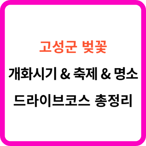 고성 벚꽃 개화시기 축제 명소 드라이브 코스 총정리 썸네일