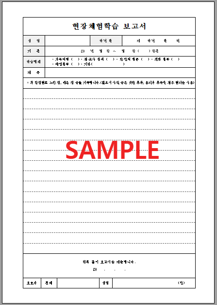 현장체험학습보고서 (3) 서식 미리보기