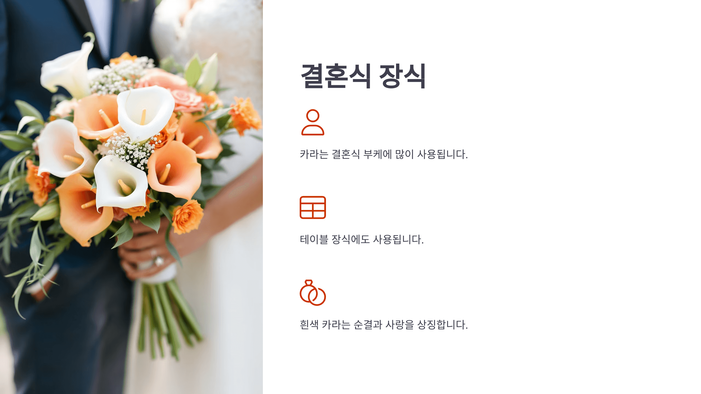 카라꽃 사진입니다.